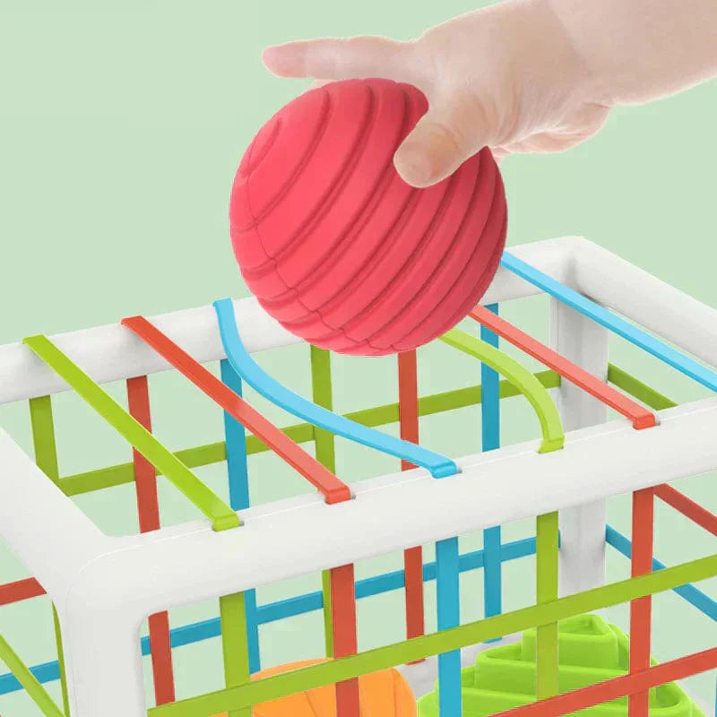Jeankise Box - Educational Box