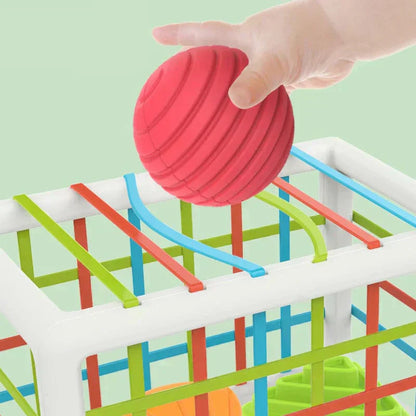 Jeankise Box - Educational Box