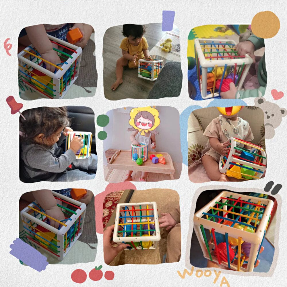 Jeankise Box - Educational Box